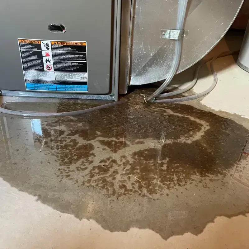 Appliance Leak Cleanup in Craven County, NC